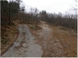Skadanščina - Planina Jegno